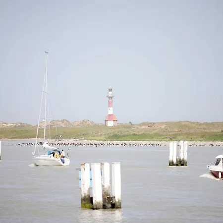 Appartement In Near The *