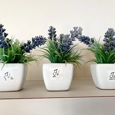 Апартаменты In Near The