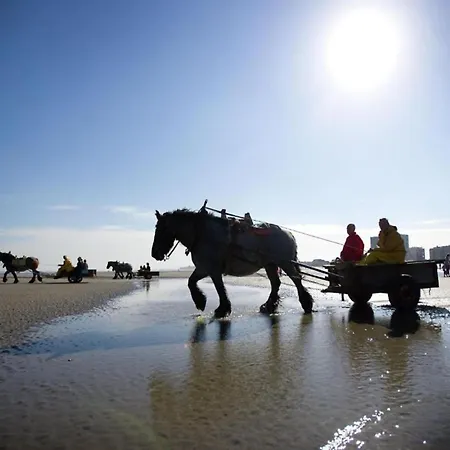 Апартаменты In Near The