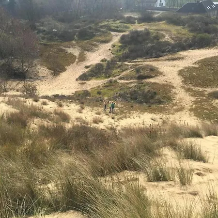 In Near The Nieuport