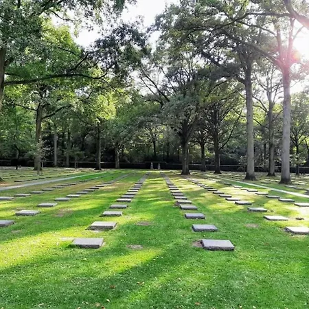 In Near The Nieuport