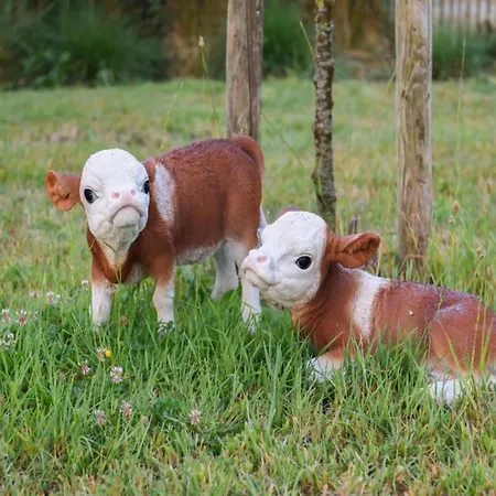 In Near The Ньивпорт